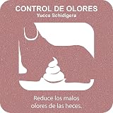 Ver la foto 3