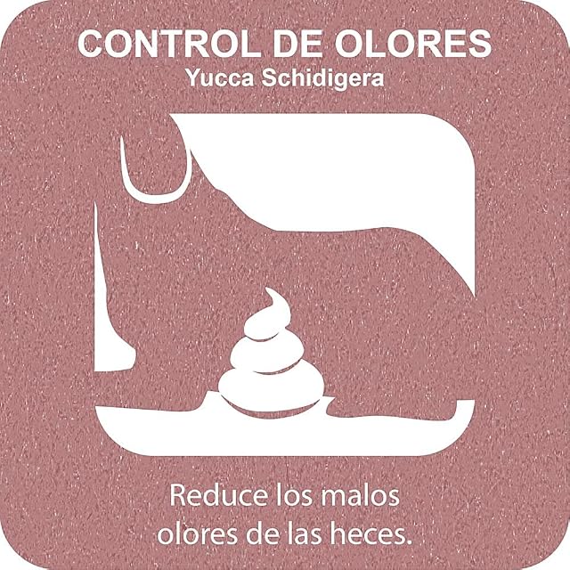 Foto 3 de 7 de Ferplast Snack Perro Snack Natural para Perro Snack Higiene Oral Talla Grande Control de Olores con Extracto…