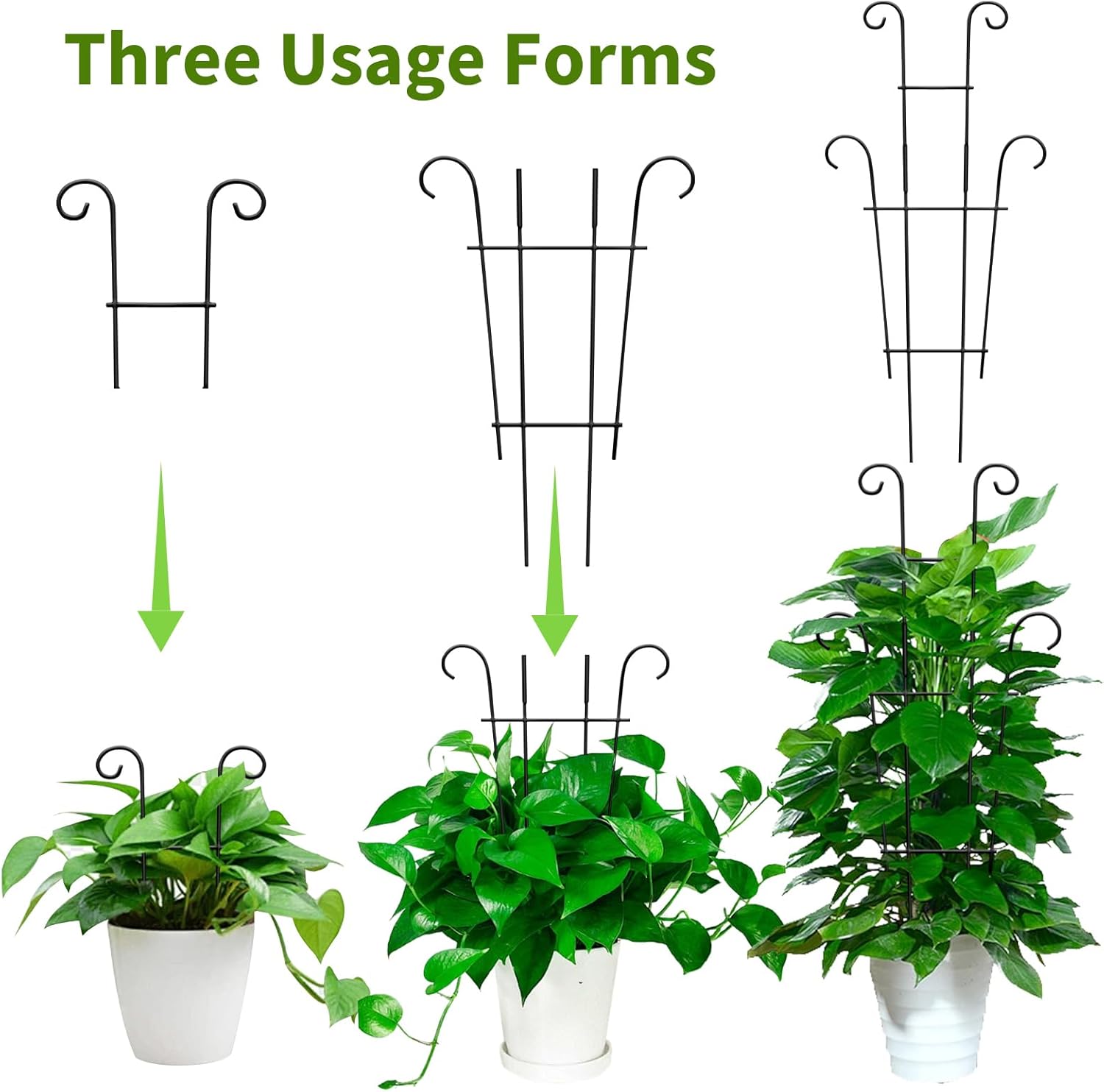Garvee 8 Pack 23.6'' Plant Trellis for Climbing Plants Indoor, Plant Climber Support Indoor Outdoor, Rust-Resistant Sturdy Metal Trellis for Potted Plants Ivy Pothos Monstera Hoya Flower Vine