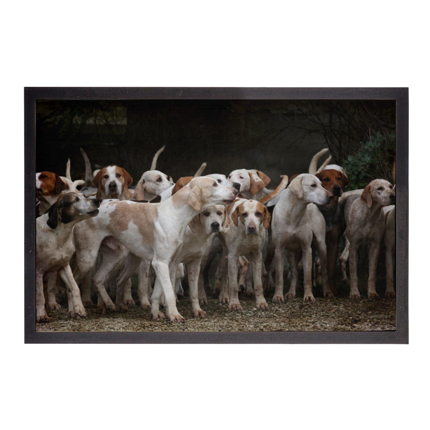 Paillasson meute de chiens de chasse tapis entrée gros chien aboie 60x40cm