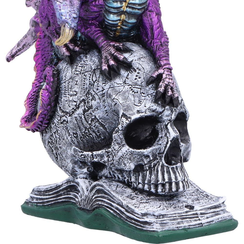 Nemesis Now Drachenstatue aus Kunstharz – handbemalte Drachenfigur auf metallischem Totenkopf und Buch – Geschenke und Dekoration für Fantasy-Liebhaber – Titans Reign