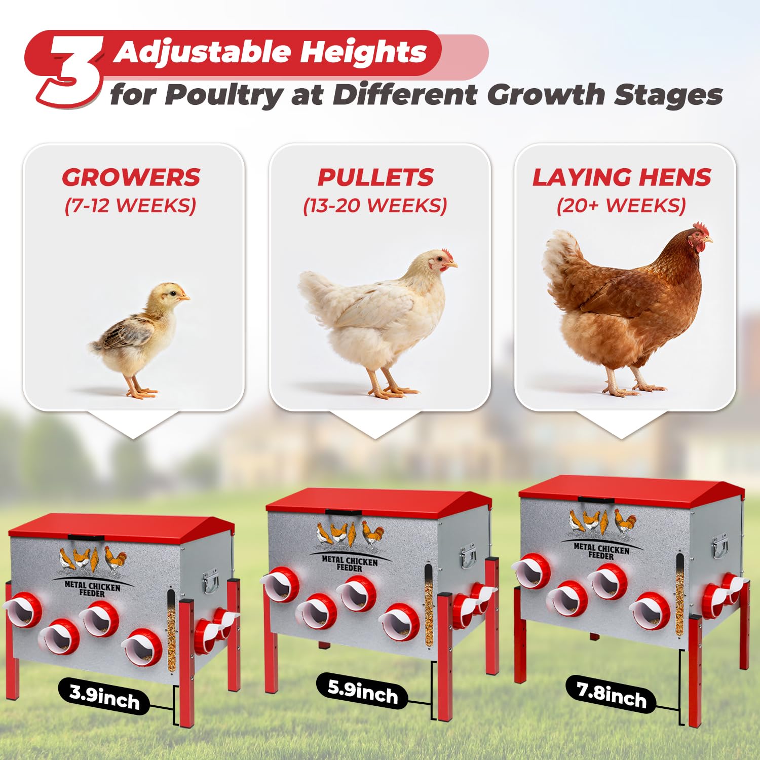 Comedero automático para pollos de 100 libras, gran capacidad, 12 puertos antiresiduos, comedero de metal para aves de corral con soporte de altura ajustable, caja de alimentación impermeable a prueba