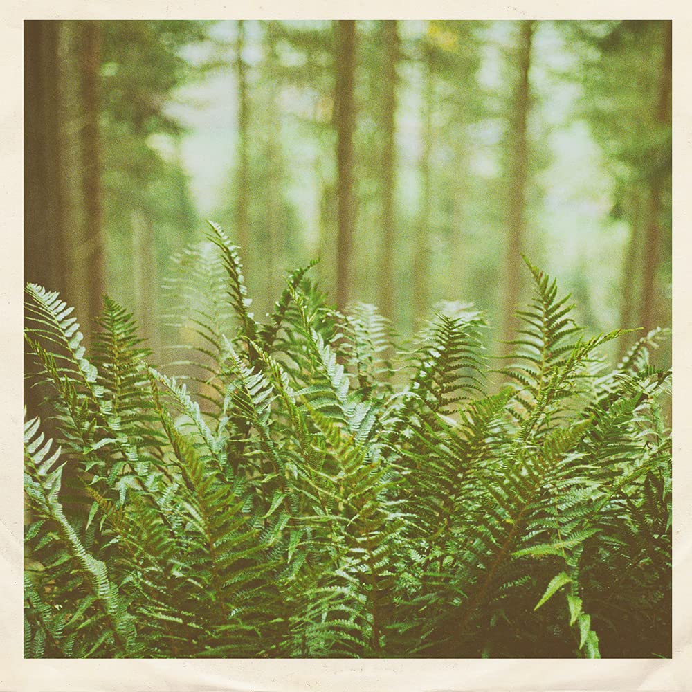 Just Visiting [7" VINYL]