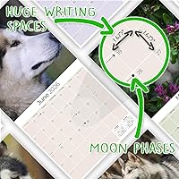 Vista 978 de Razas de Perros 2017