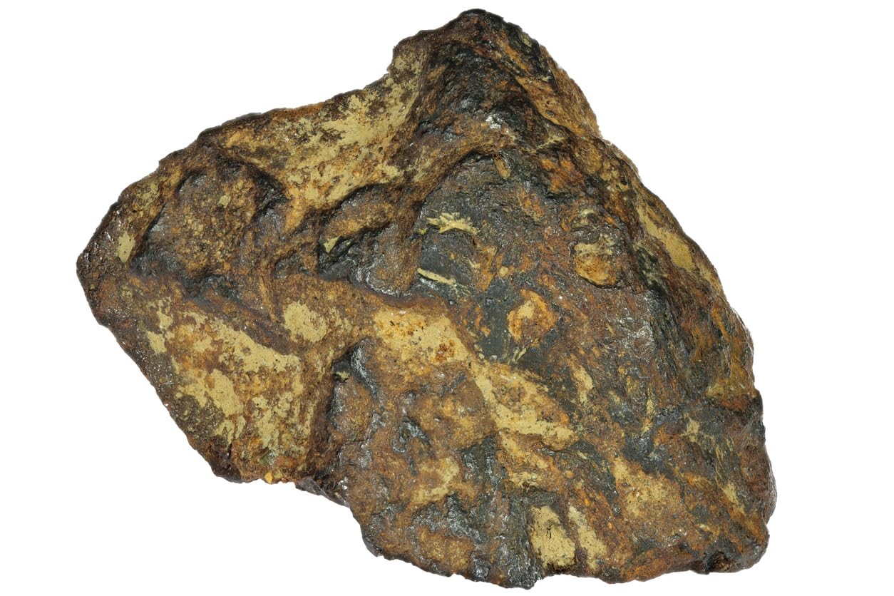 Amazon.co.jp: Rocksbury Place Muonionalusta Meteorite - 10~14