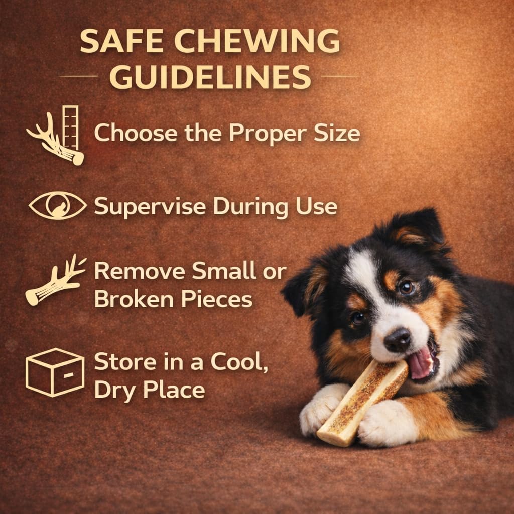 Whitetail Naturals Split Elk Antler Dog Chews (6 Pack, Small) Long-Lasting Bones for Aggressive Chewers, Odor-Free Half-Cut Elk Antlers for Dogs