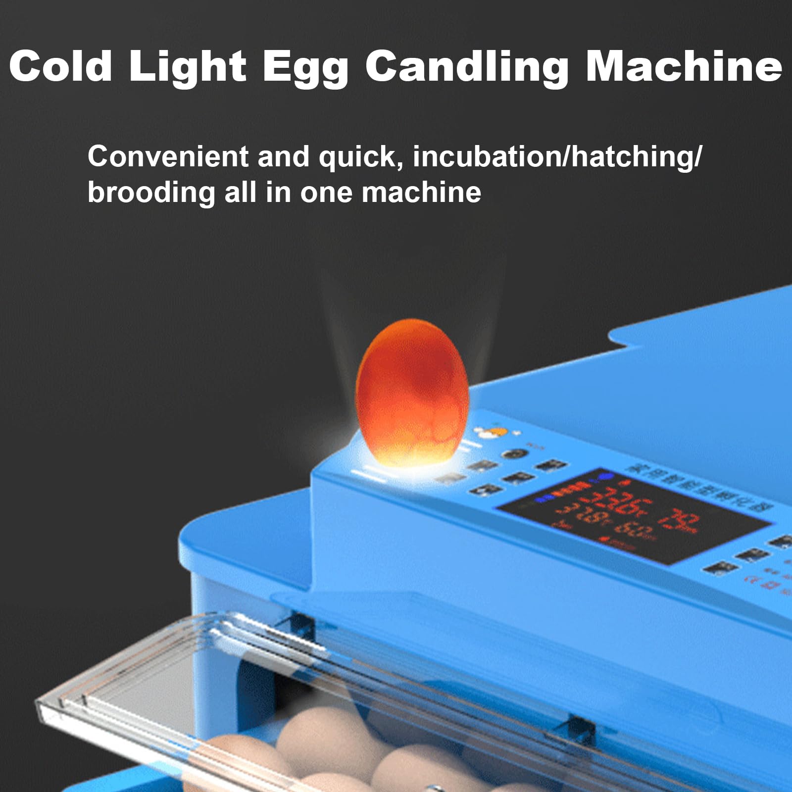 Incubadora automática de aves de corral, incubadora digital de huevos con control de temperatura para incubar pollos, patos y codornices - Capacidad de 9 huevos