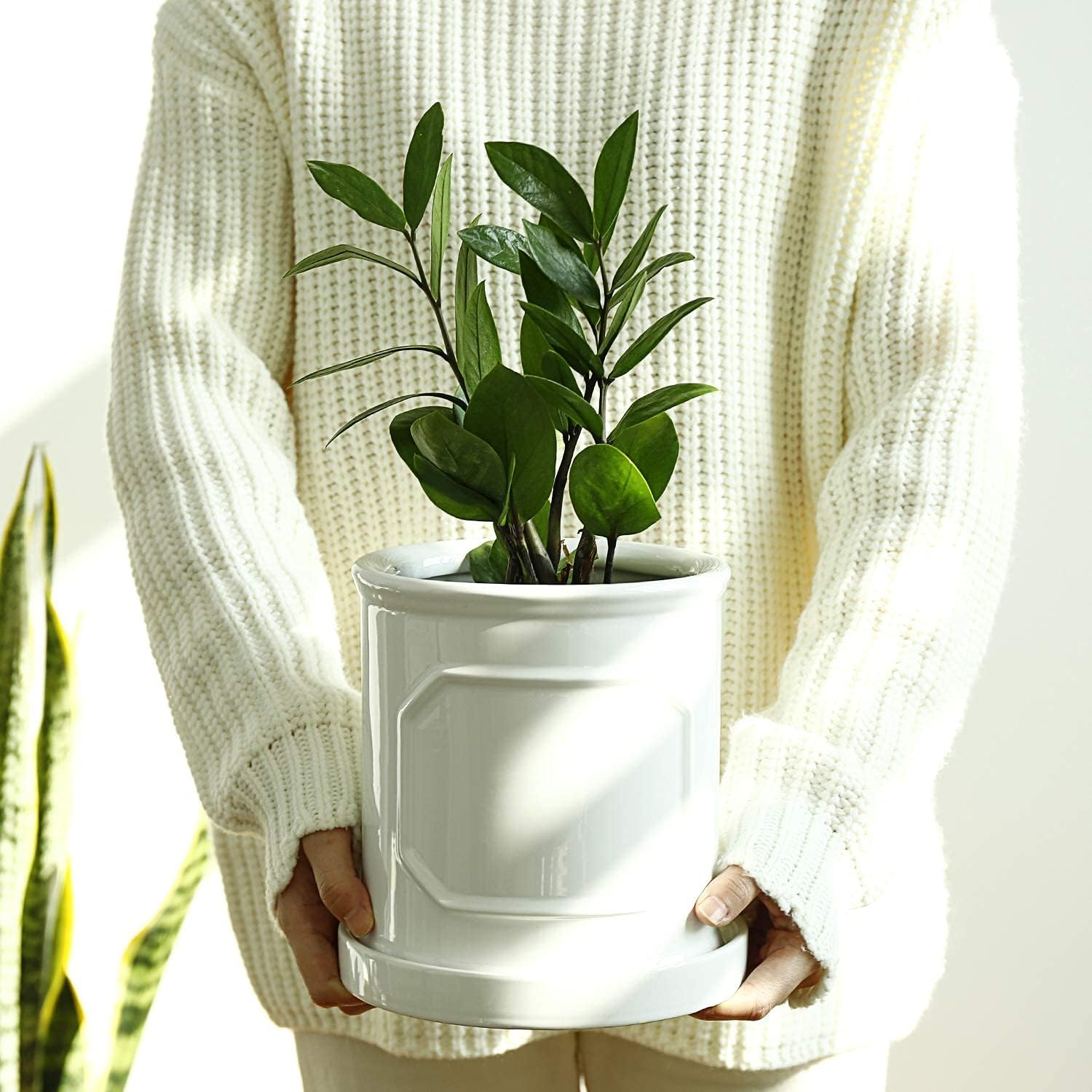 POTEY 6.2 Inch White Planter Pots for Plants Indoor - Cylinder Flower Planters Bonsai Container with Drainage Hole & Saucer for Modern Home Decor 050201, Plant NOT Included