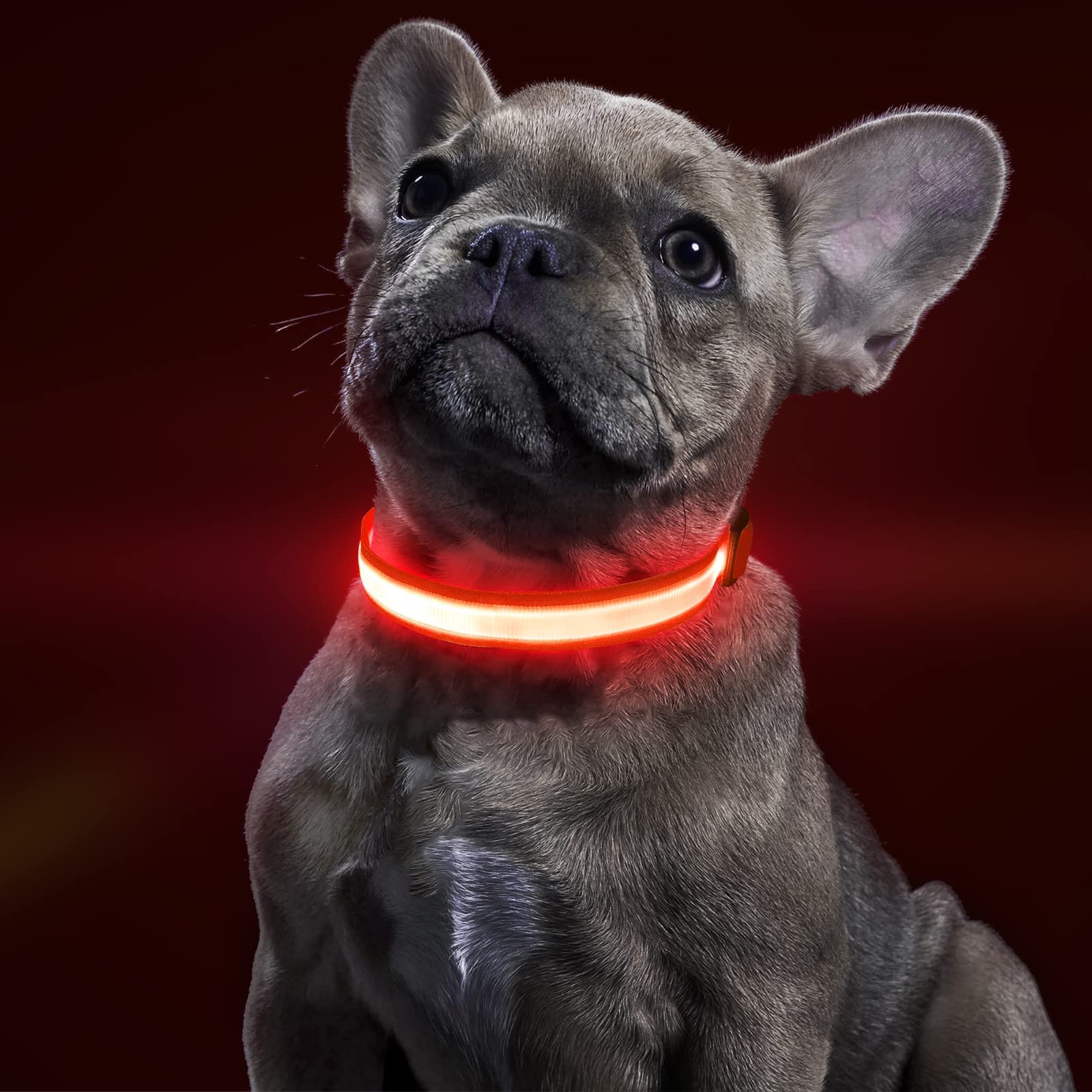 BSEEN Collare per cani che si illumina, collare per cani a LED ricaricabile, impermeabile, riflettente, con luci natalizie che si illuminano al buio, per passeggiate notturne (rosso rubino, M)
