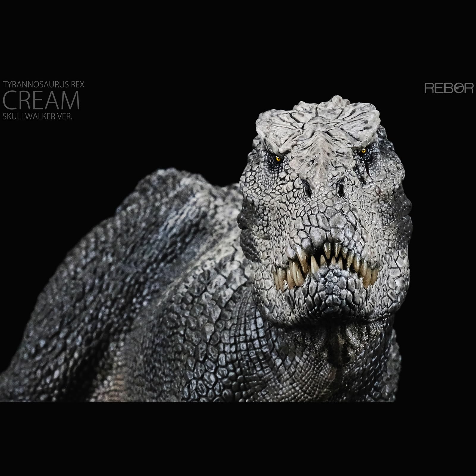 Amazon.com: XINPANYIAN Rebor 1:35 Scale Tyrannosaurus Rex Dinosaur