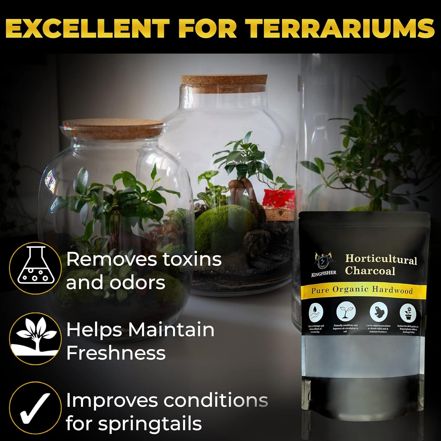 Organic Horticultural Charcoal & Terrarium Charcoal | Charcoal for Plants | Pure Hardwood Charcoal for Planting and Gardening | Organic Canadian Maple Biochar (4 QUARTS)