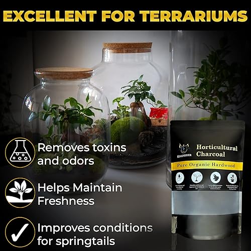 Miniatura 4 de Carbón hortícola orgánico y carbón de terrario  Carbón para plantas  Carbón de madera dura puro para plantar y jardinería  Biochar de arce