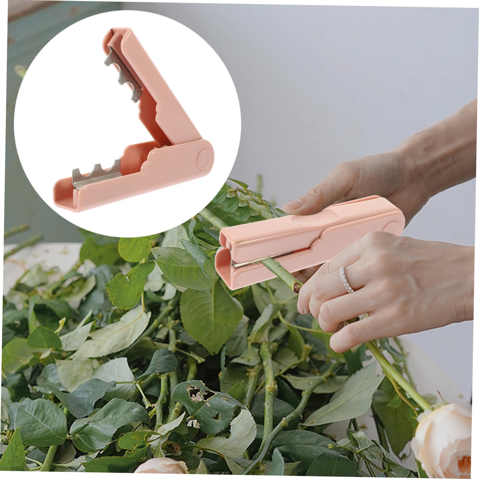Désépinoir Pour Enlever Les épines Des Fleurs , Outils De Fleuriste - Botanique Editions