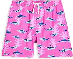 Bright Pink/Pattern Base