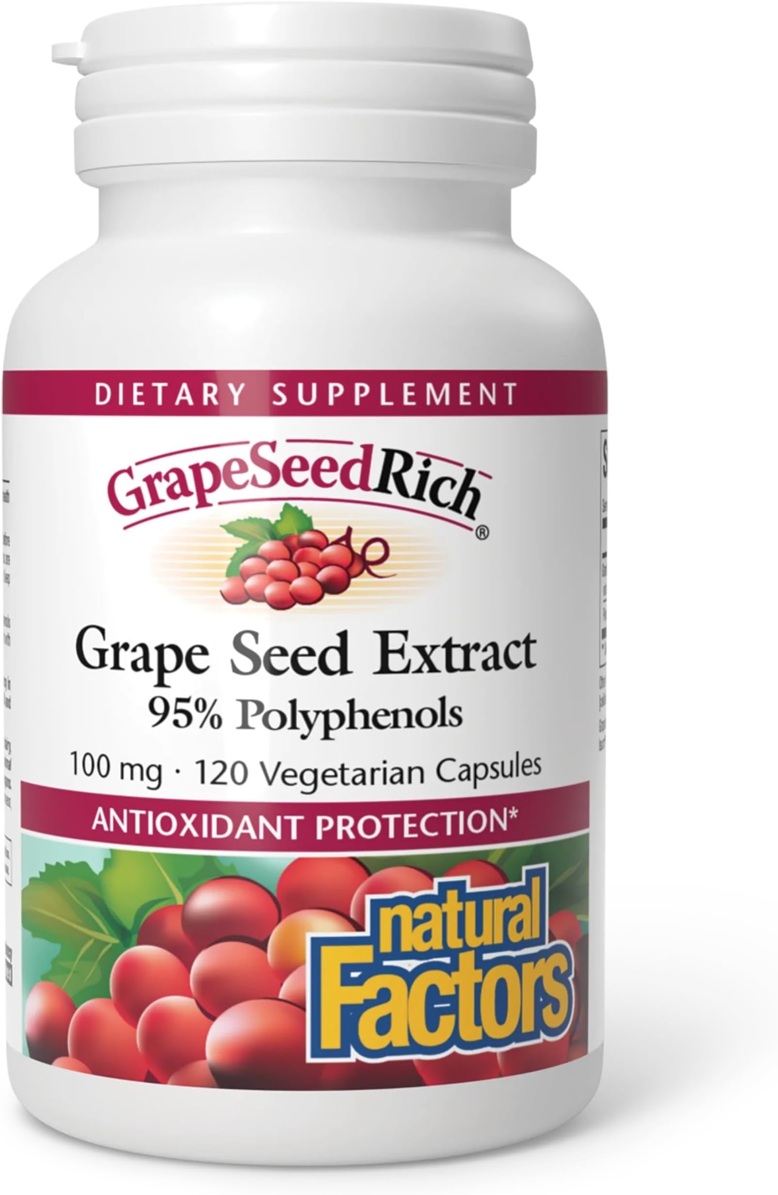 GrapeSeedRich Grape Seed Extract, Antioxidant Support for Healthy Inflammatory Response, 120 Capsules