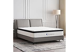 12 Inch Queen Mattress, Zinus Spa Sensations Serenity 12 Memory Foam Hybrid...