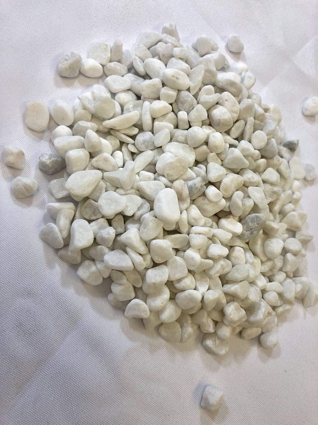 Exotic Pebbles, Decorative White Bean Pebbles for Outdoor Landscaping or Indoor Projects (Fish Tanks and Potted Plants) 0.8-1.0 cm (10 lbs)