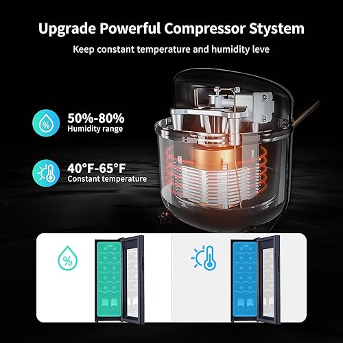 Miniatura 4 de Refrigerador de vino negro de 12 botellas, enfriador de vino pequeño de acero inoxidable independiente para vino tinto y blanco, refrigerador de