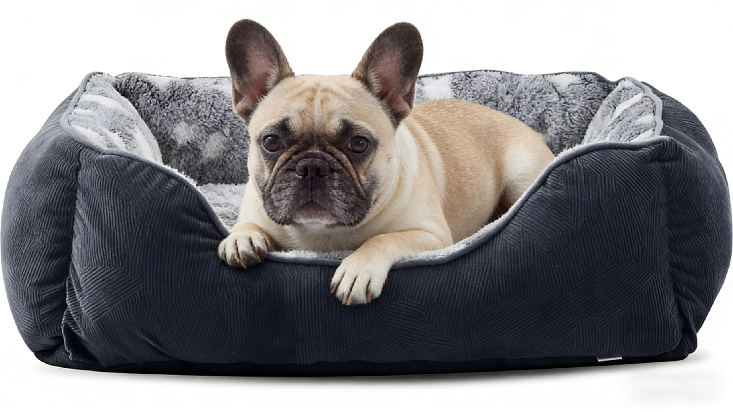 FURTIME Cama para Perros Pequeños Antideslizante y Antiestres - Caseta Lavable, Colchón, Cuna, Sofá - S(51x48x18cm) Negro