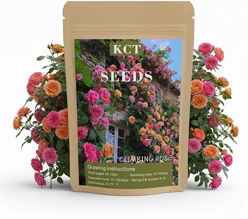 Más de 600 semillas de rosas trepadoras para plantar al aire libre, flor de vid vibrante, flores ornamentales de jardín de larga duración (mezcladas)