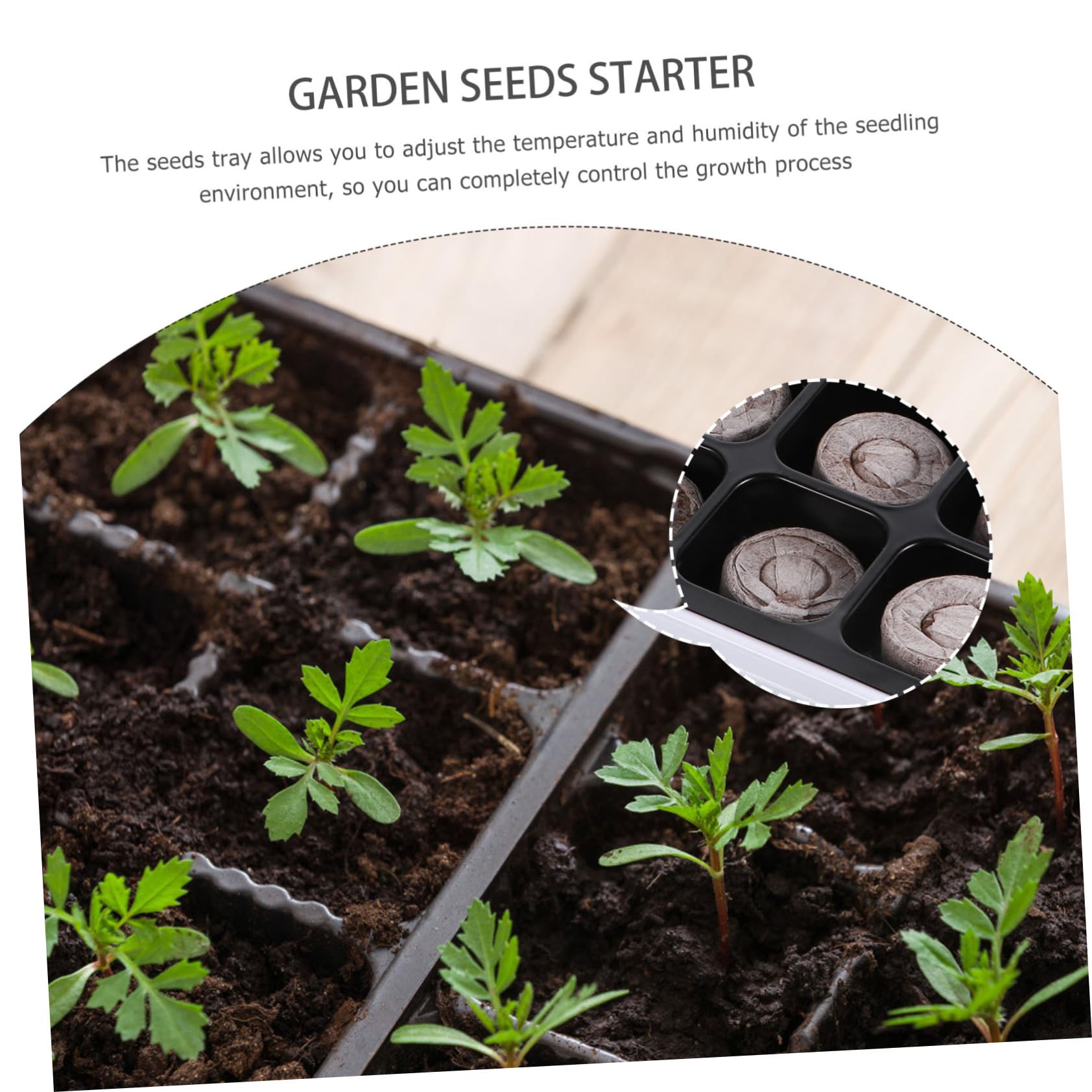 TOYANDONA 2 Set Vassoi per Germinazione per Giardinaggio E Serra Strumenti per Piantine E Semina Adatti 12 Pezzi*2