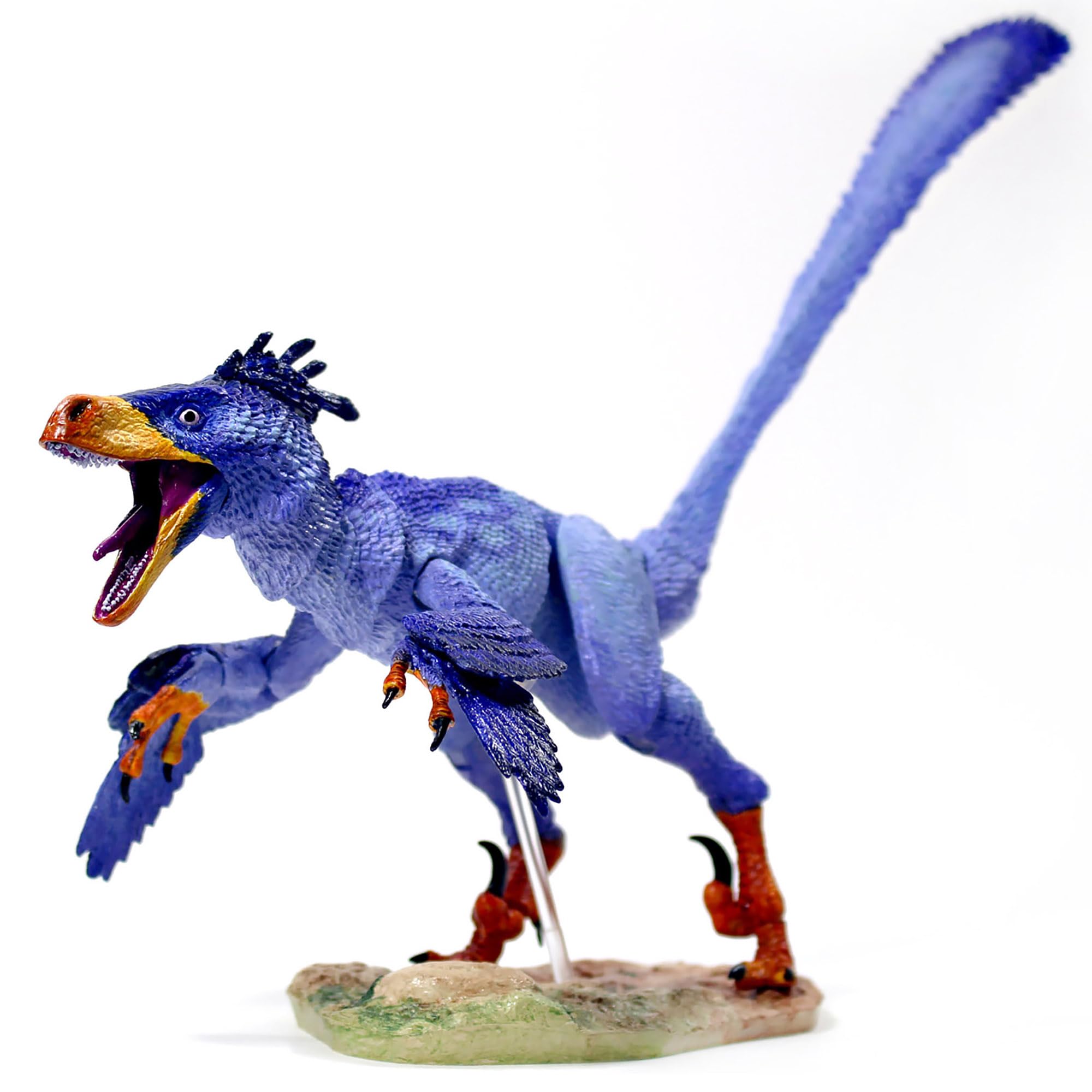 Amazon.com: Creative Beast Studio Beasts of The Mesozoic: Raptor