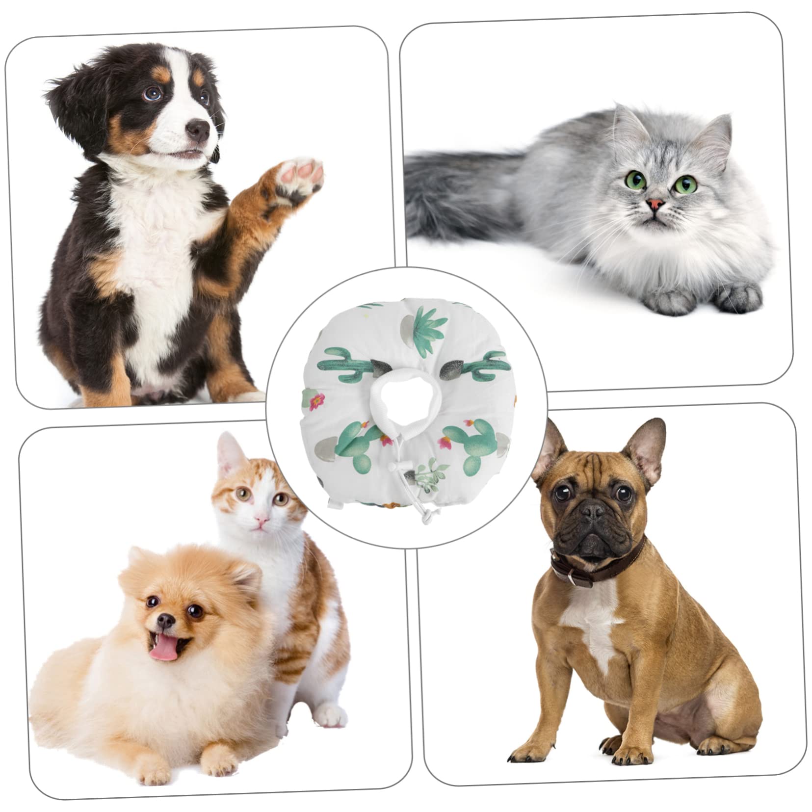 POPETPOP 5pezzi Collare Elisabettiano Per Gatti Comfort Ottimale Per Recupero Protezione Completa Per Ferite Facile Da Indossare Per Gattini e Cani Piccoli