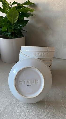 Staub Lot De 4 Bols à Dessert Céramique 21,5 Cm Avec Chiffon De Nettoyage - Idéal Tapas Et Desserts Vaisselle Service Staub Staub Lot De 4 Bols à Dessert Céramique 21,5 Cm Avec Chiffon De Nettoyage - Idéal Tapas Et Desserts Vaisselle Service Staub