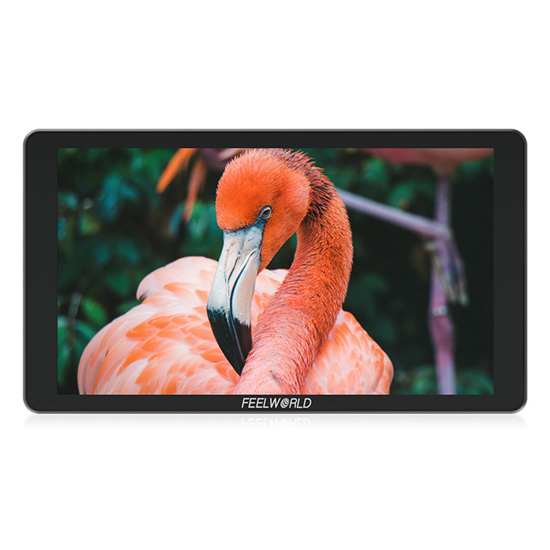 Amazon.co.jp: FEELWORLD P6XL 4K HDMI 6インチ 高輝度 1920x1080p