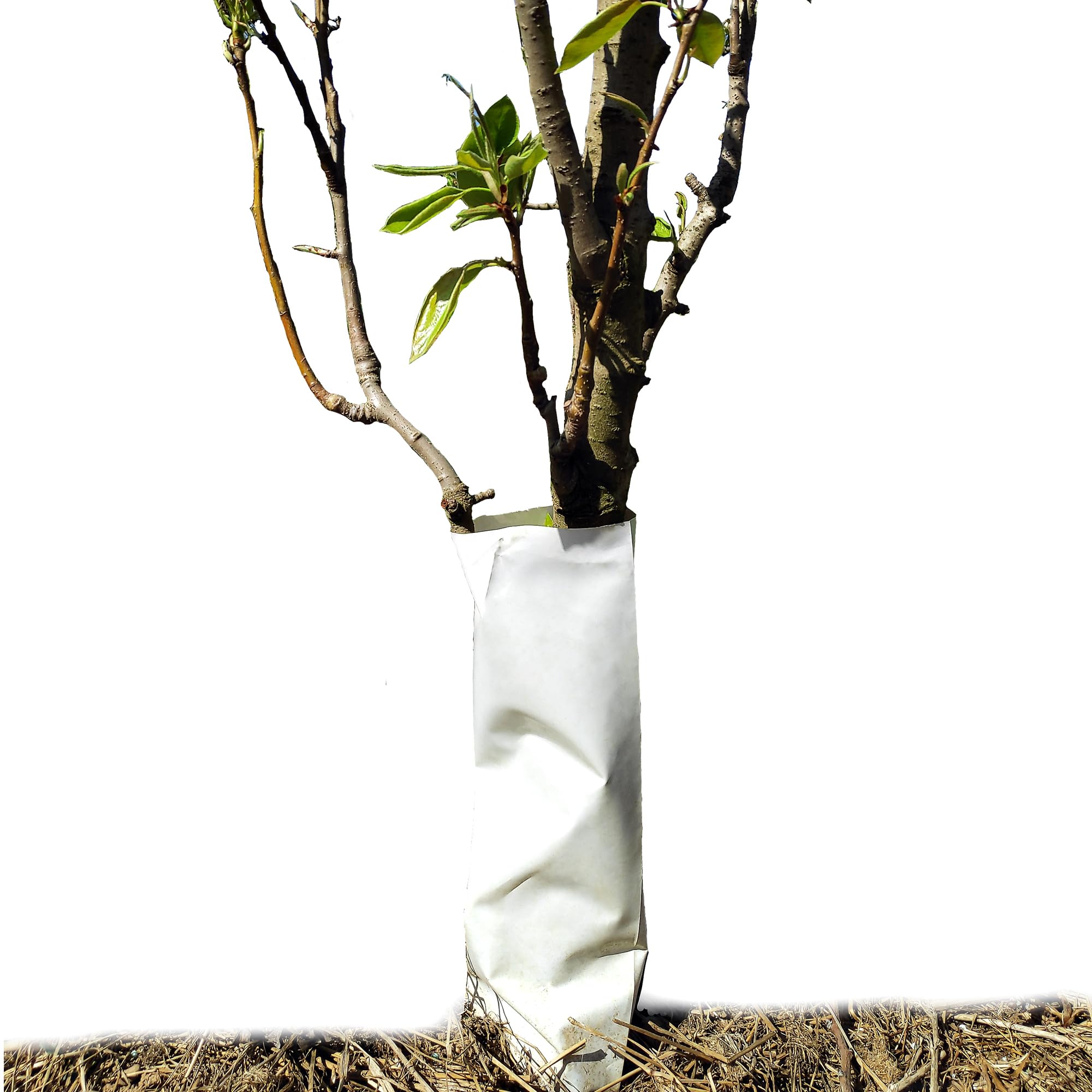 Tubo Flexible de Plástico Protector de Roedores para Troncos de Árboles | Alto: 45cm | Pack 100 Unidades | Protege Plantones | Anti UV | Exterior Cultivo de Campo y Huerto | Blanco