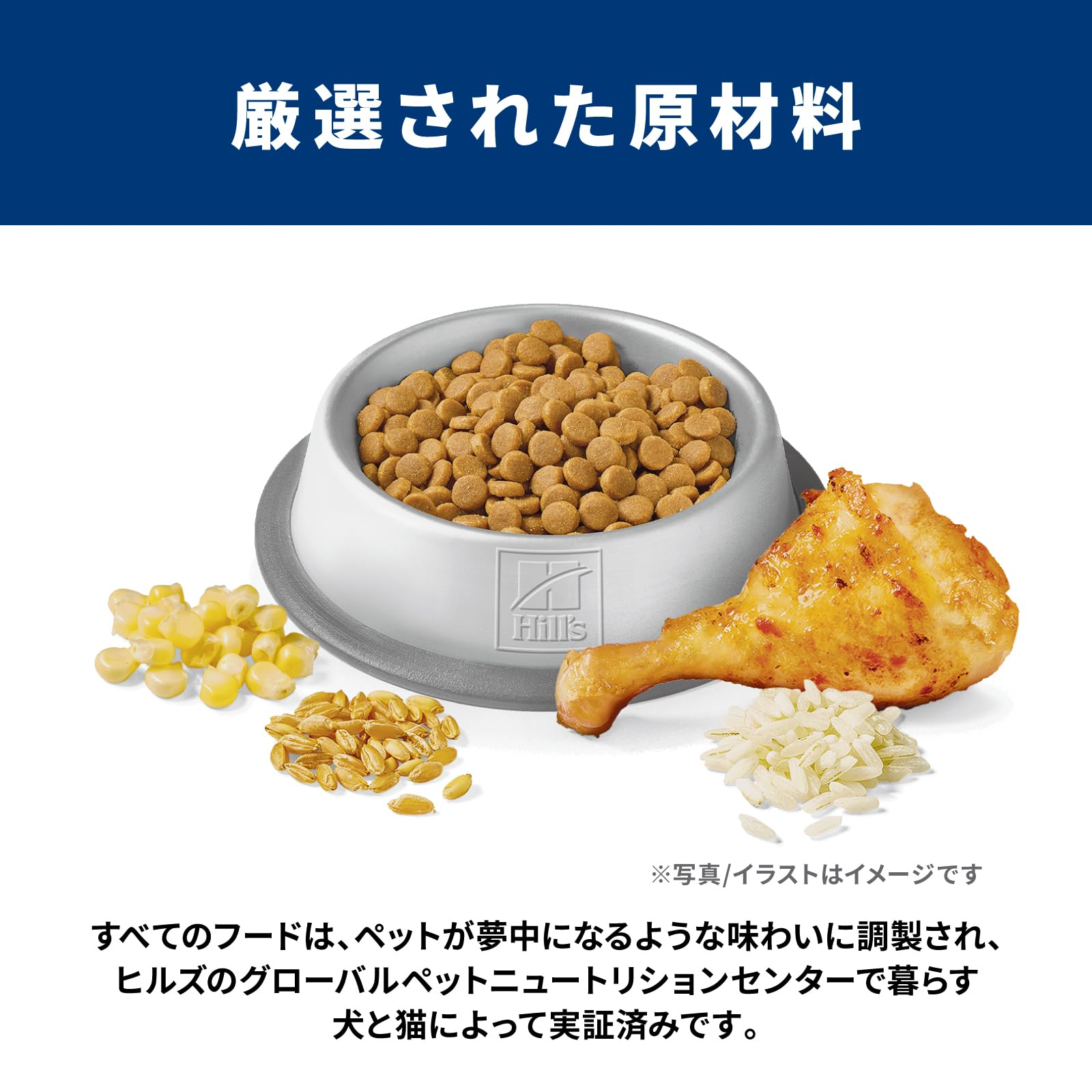 Amazon.co.jp: キャットフード サイエンスダイエット 尿路の健康