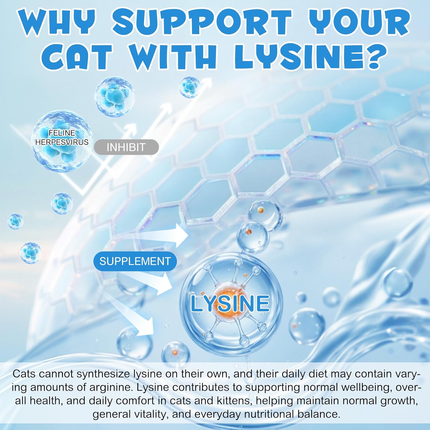 Lysine for Cats, Cat L-lysine Supplement Support Immune for Feline Respiratory, Sneezing, Runny Nose, Eye Function, Helps Strengthen Natural Defenses - Chicken Flavor 60ml-2PCS