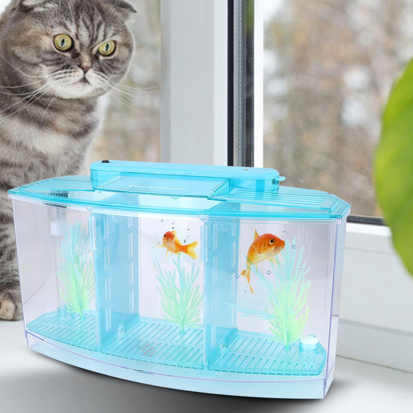 Yctze LED Acrylic Aquarium Fish Tank with Three Divisions Breeding Isolation Box and Kit - Ideal for Small Fish, Betta Fish, Dual and Mini Aquarium Environment (Blue)