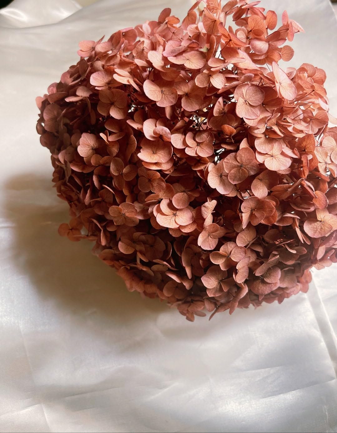 Hortensia stabilisé bordeaux pour création de bijoux en résine DIY