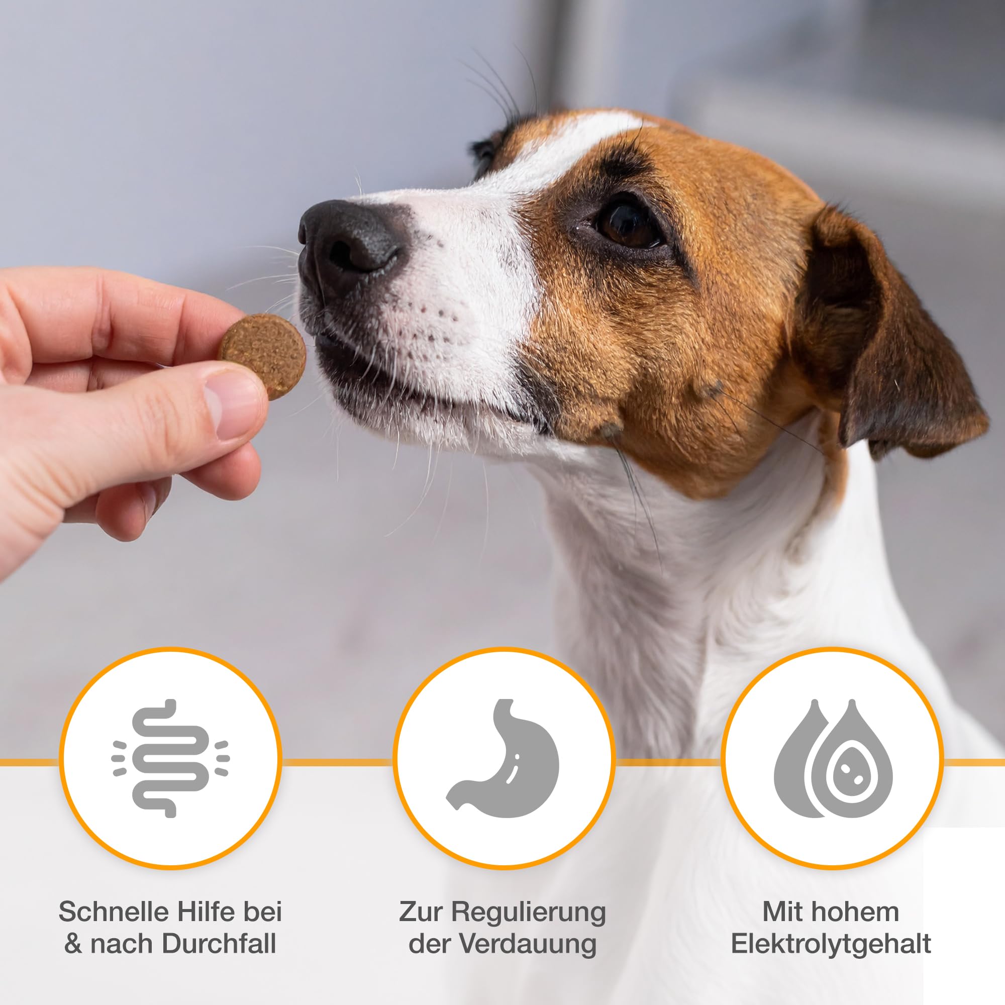 alfavet Dia Tab Tubes 2 x 12 x 5,5 g – Complément alimentaire diététique pour chiens et chats – Comprimés à croquer en cas de diarrhée – Avec bentonite et ingrédients végétaux pour réguler la