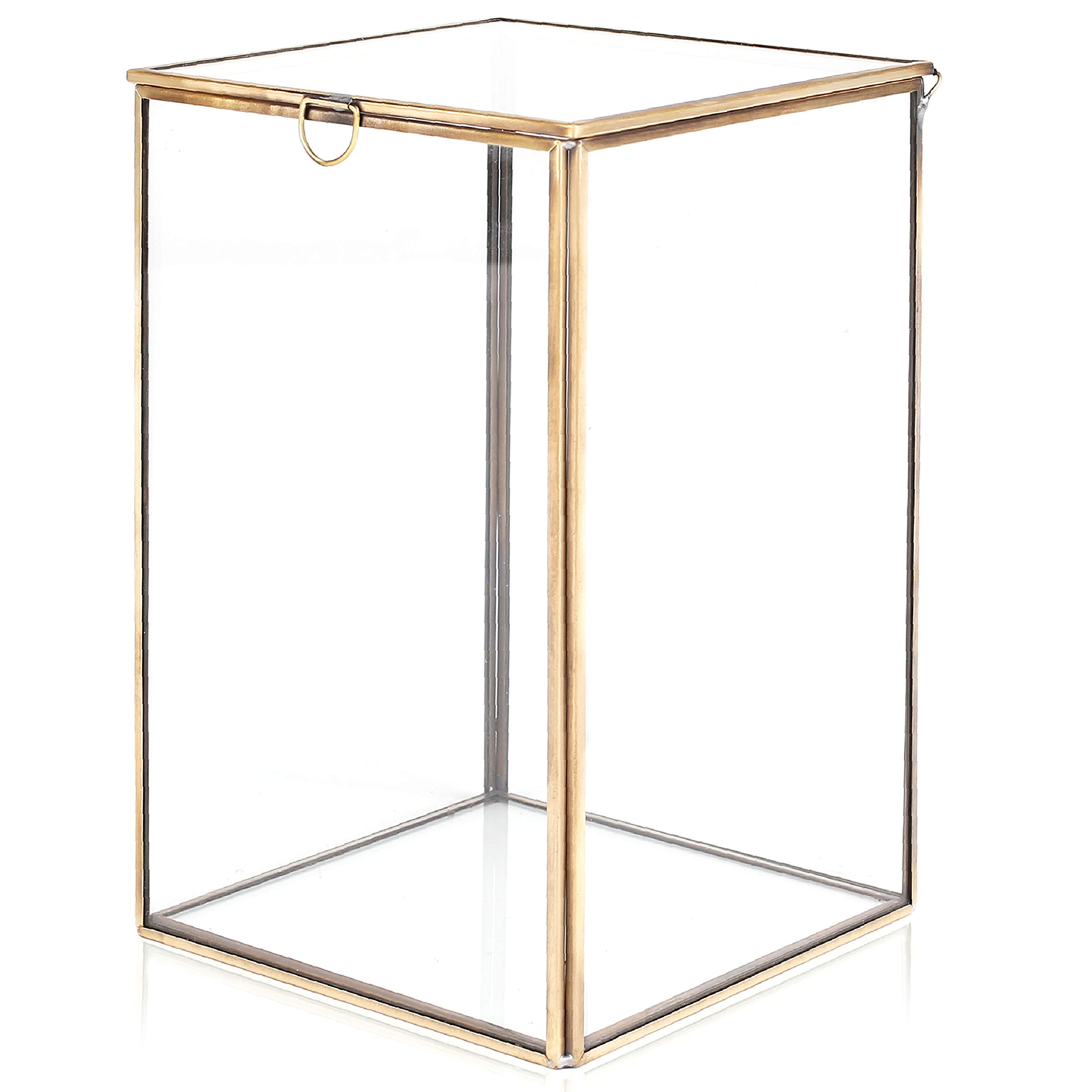 Buy MyGift Clear Glass Plant Terrarium with Brass Metal Frame, Tabletop