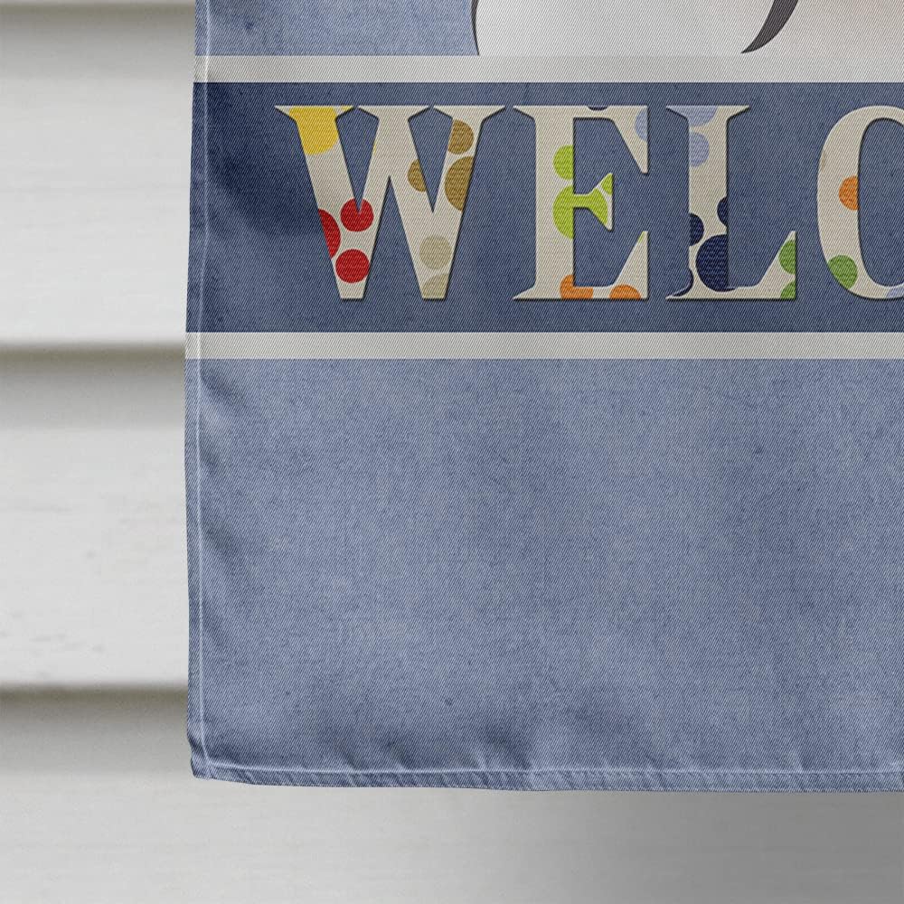 Caroline's Treasures BB1432CHF Saint Bernard Welcome House Flag, Blue Large Porch Sleeve Pole Decorative Outside Yard Banner Artwork Wall Hanging, Polyester, House Size, Multicolor