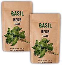 Navika Seeds Italian Basil Herb Seeds For Home Gardening & Planting | Total 2000 Seeds | All seasons | Pack of 2 | Including Free Guide How to Grow Basil at Home