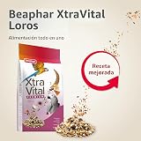 Ver la foto 2