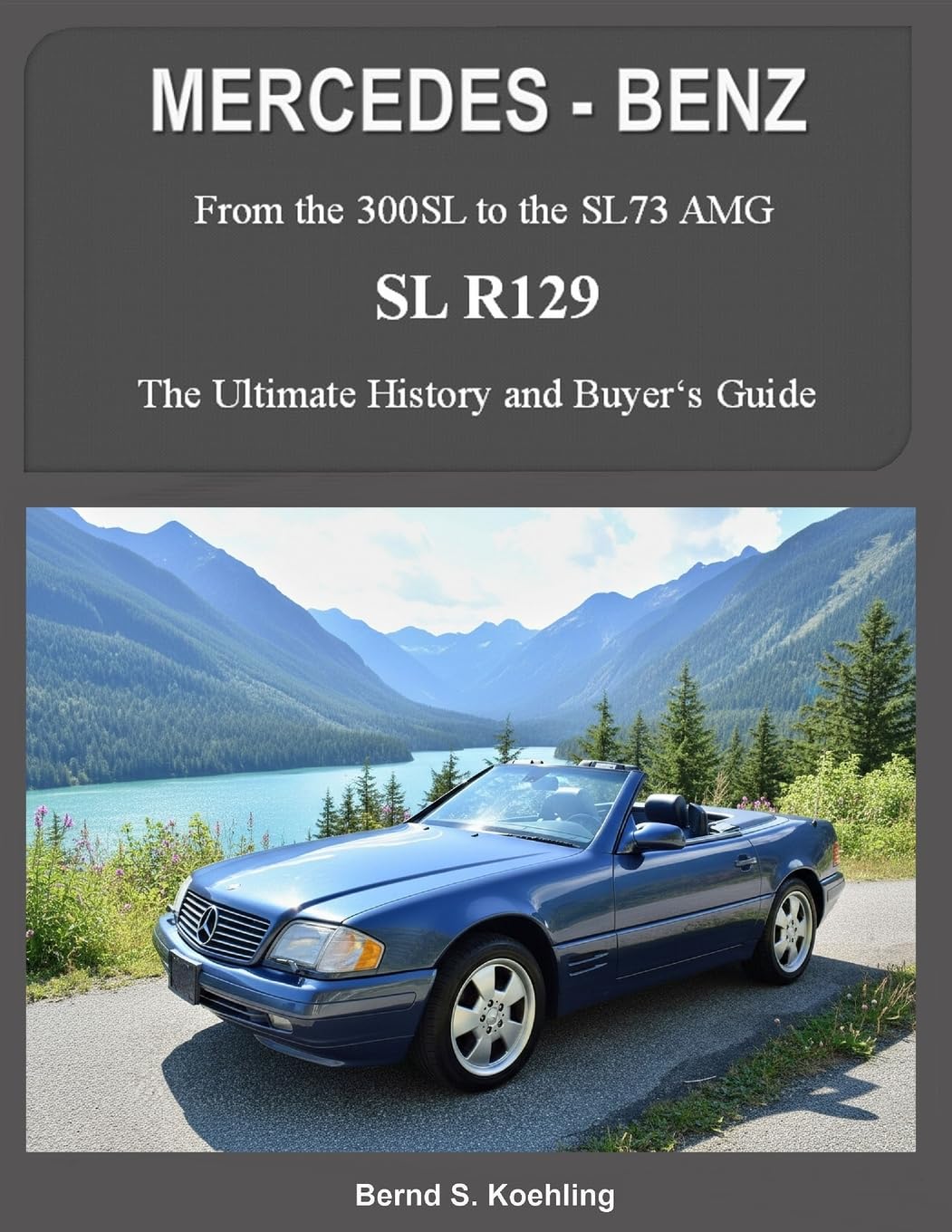 71tT2J1OGOL.jpg