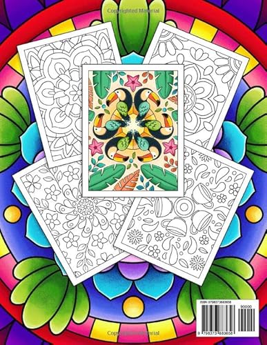 71tT4XTIa1L. SL500  - Mindful Patterns Large Print Adult Coloring Book For Women: An Adult Coloring Book with Beautiful Designs of Flowers and Botanical Mandala Patterns for Stress Relief, Relaxation, and Creativity