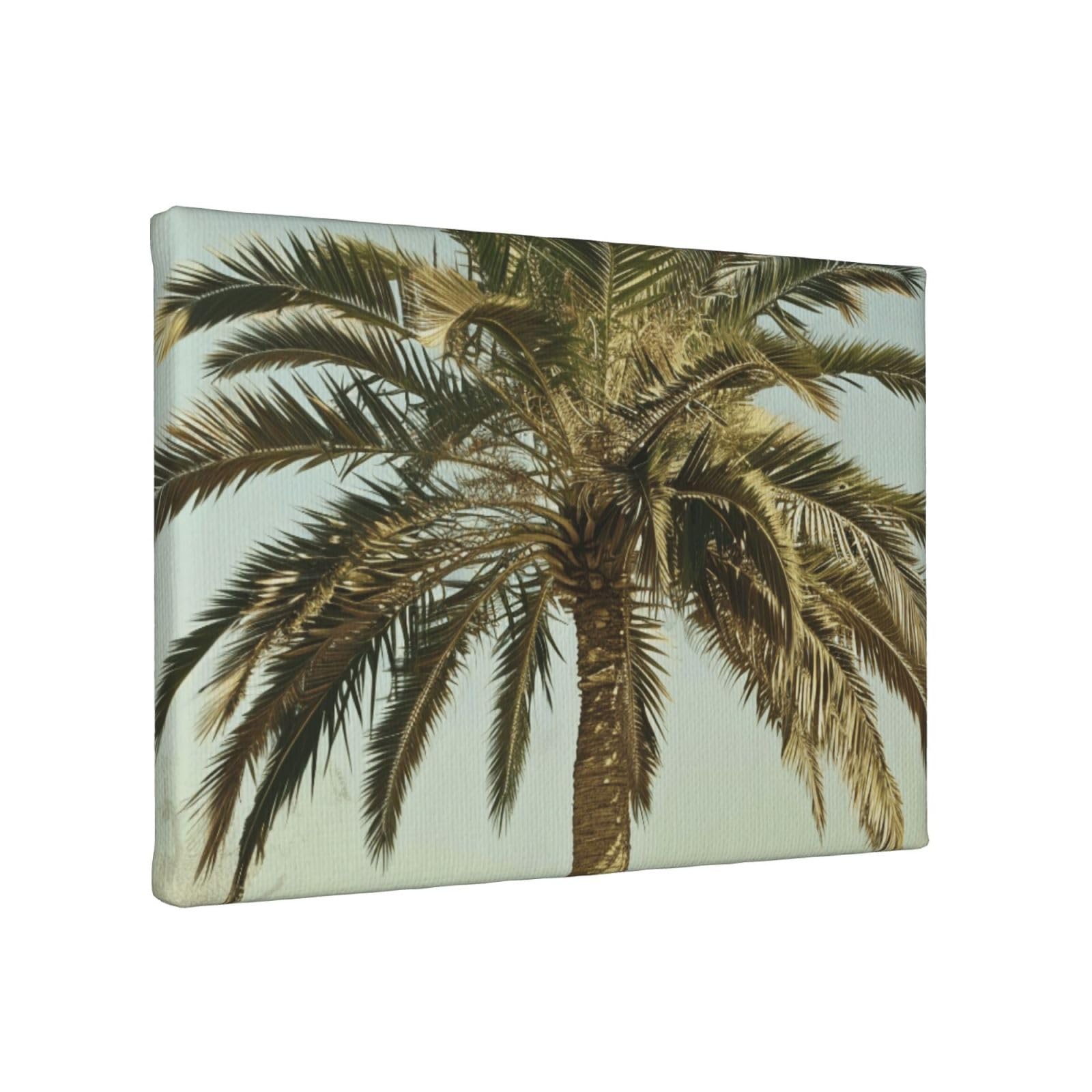 YKLJG Palm Tree Tropical Printed Wall Art Canvas Painting 30x20 CM Wooden Framed Picture Painting Artwork Prints for Bedroom Kitchen Home Office Decor