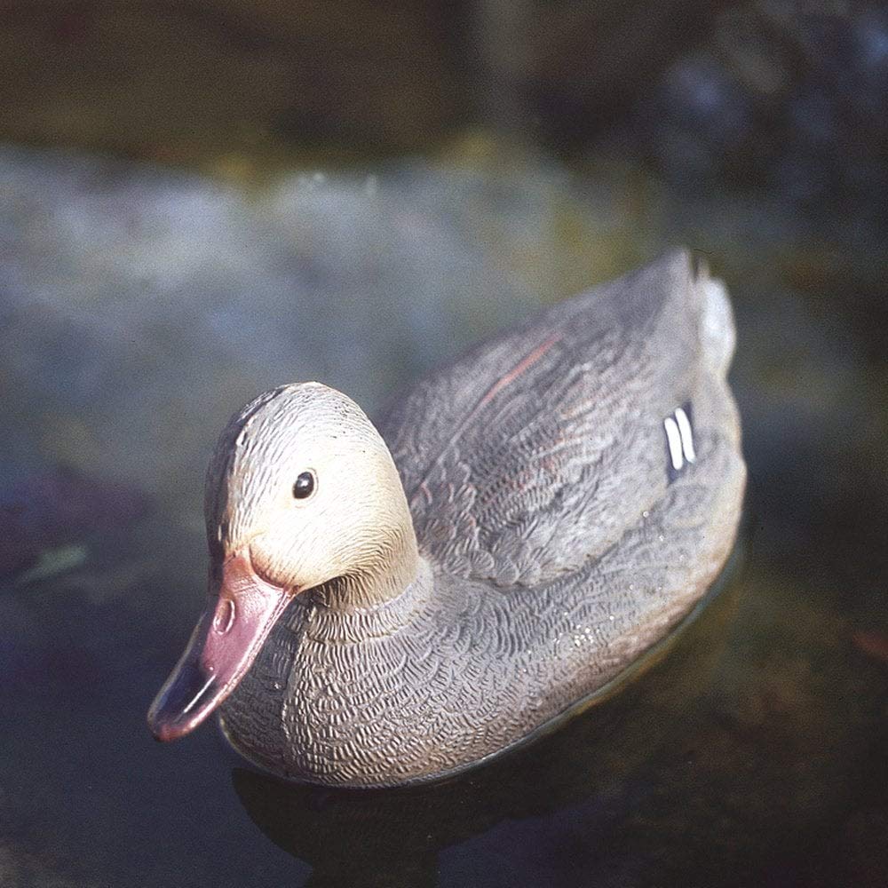 OASE 36865 Figurilla Estanque Mallard Hembra | Decoración Estanque | Animal | Naturaleza