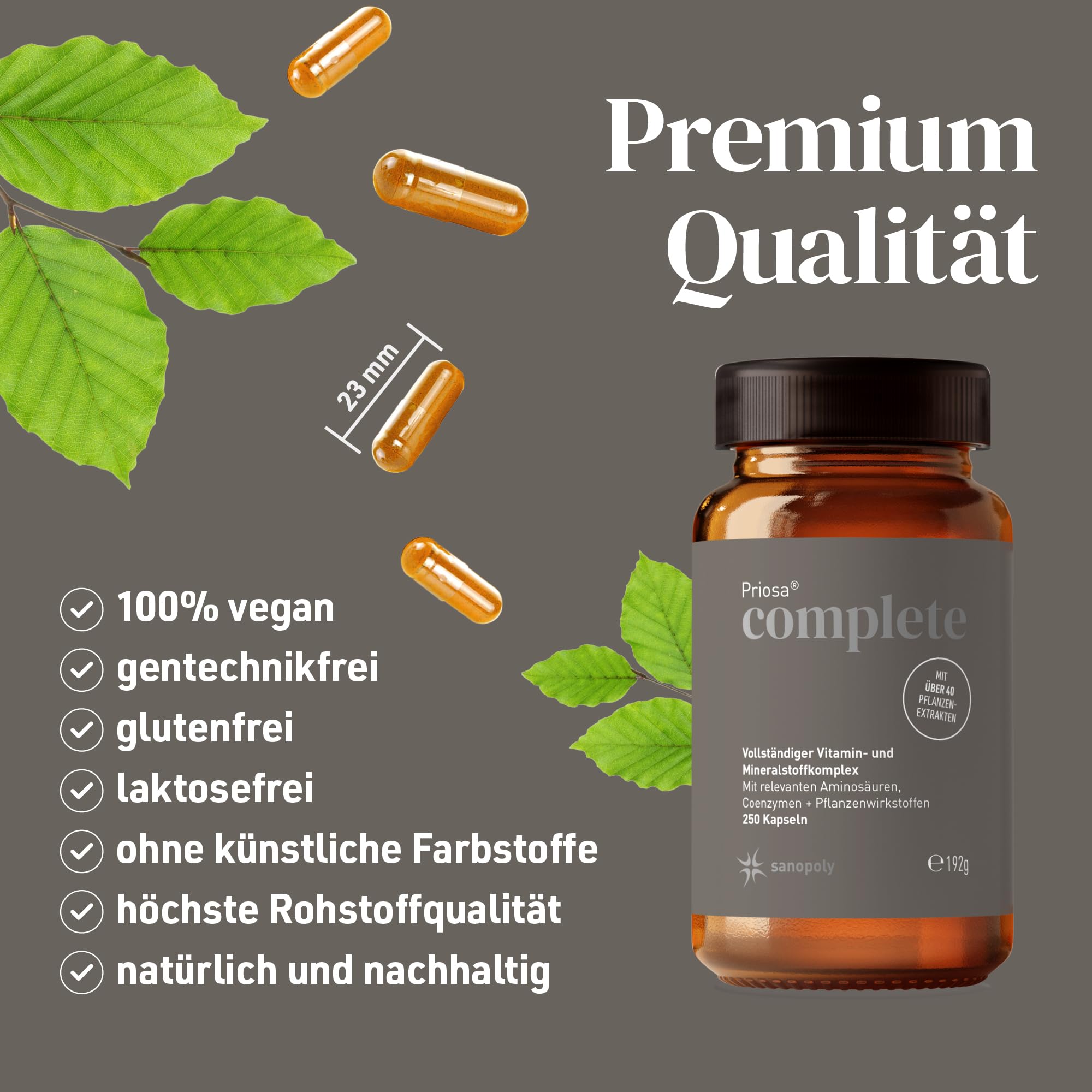 Priosa® complete 250 Multivitamin Kapseln I Unterstützt Energiestoffwechsel, Immunsystem und geistige Leistung I 42 Pflanzenextrakten, 16 Aminosäuren, 13 Mineralien & 13 Vitaminen | vegan