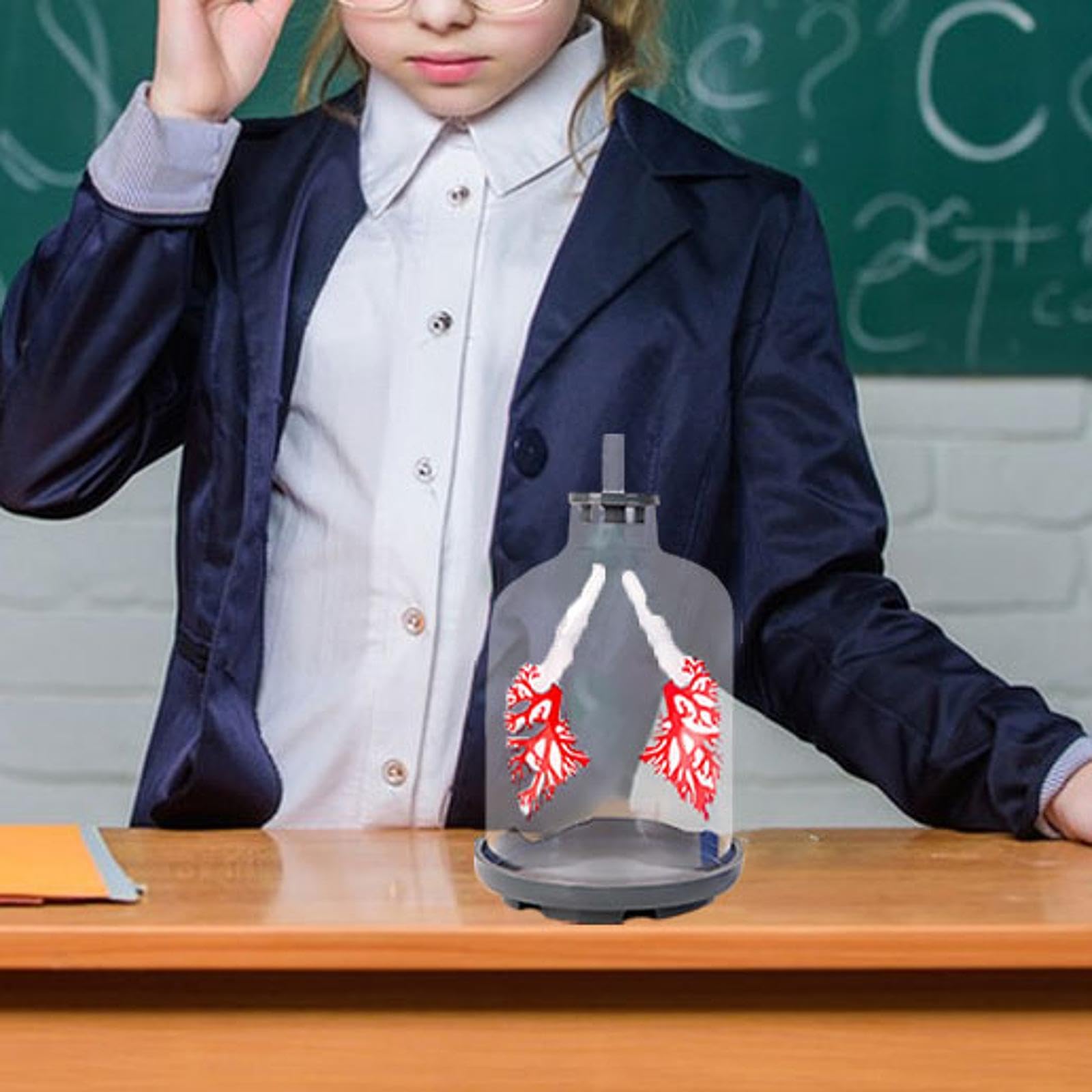 Modello Dimostrativo della Respirazione Polmonare, Giocattolo Educativo per L'insegnamento della Biologia agli Adolescenti, Chiaro