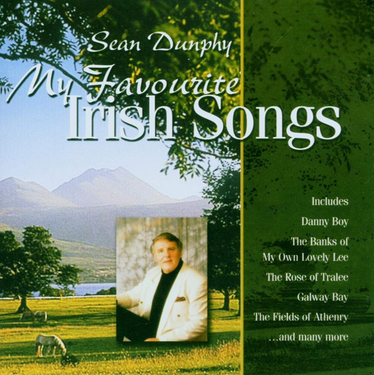 My Favourite Irish Songs