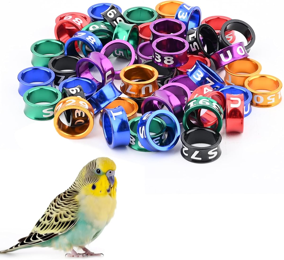 Bird Ring Leg Bands Aluminium Leg Rings Bird Identify Band for Hibiscus Birds, Parrots, Peonies, etc.Mixed Colors 50 PCS Per Pack(ID 8.0MM)
