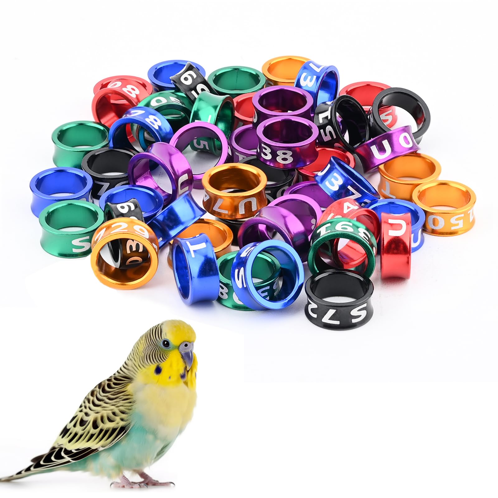 Anneaux en aluminium pour pattes de pigeons et colombes de 8 mm en lot de 50 pièces multicolores