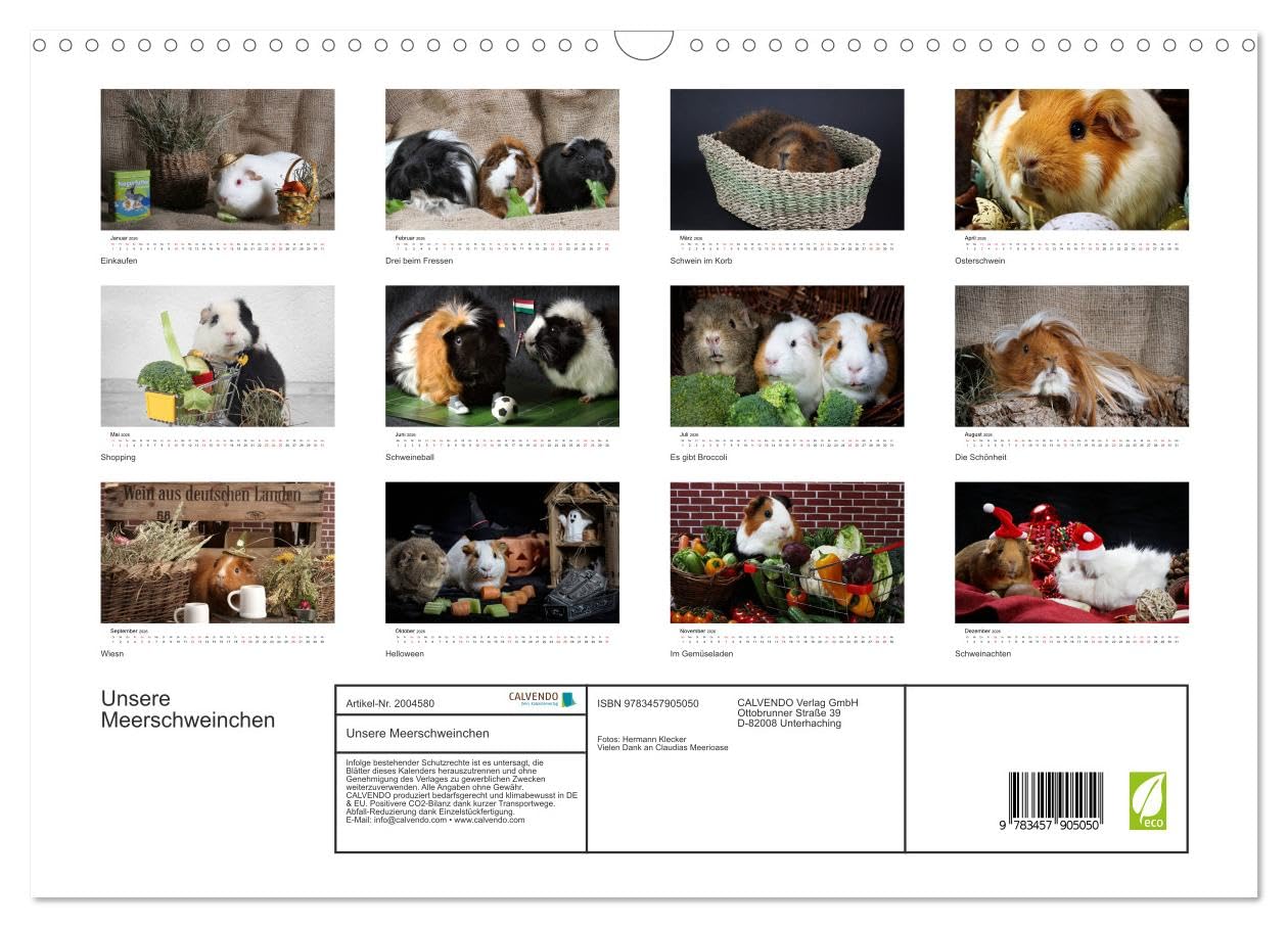 Unsere Meerschweinchen (Wandkalender 2026 DIN A3 quer), CALVENDO Monatskalender: Lustige Meerschweinchenfotos (CALVENDO Tiere)