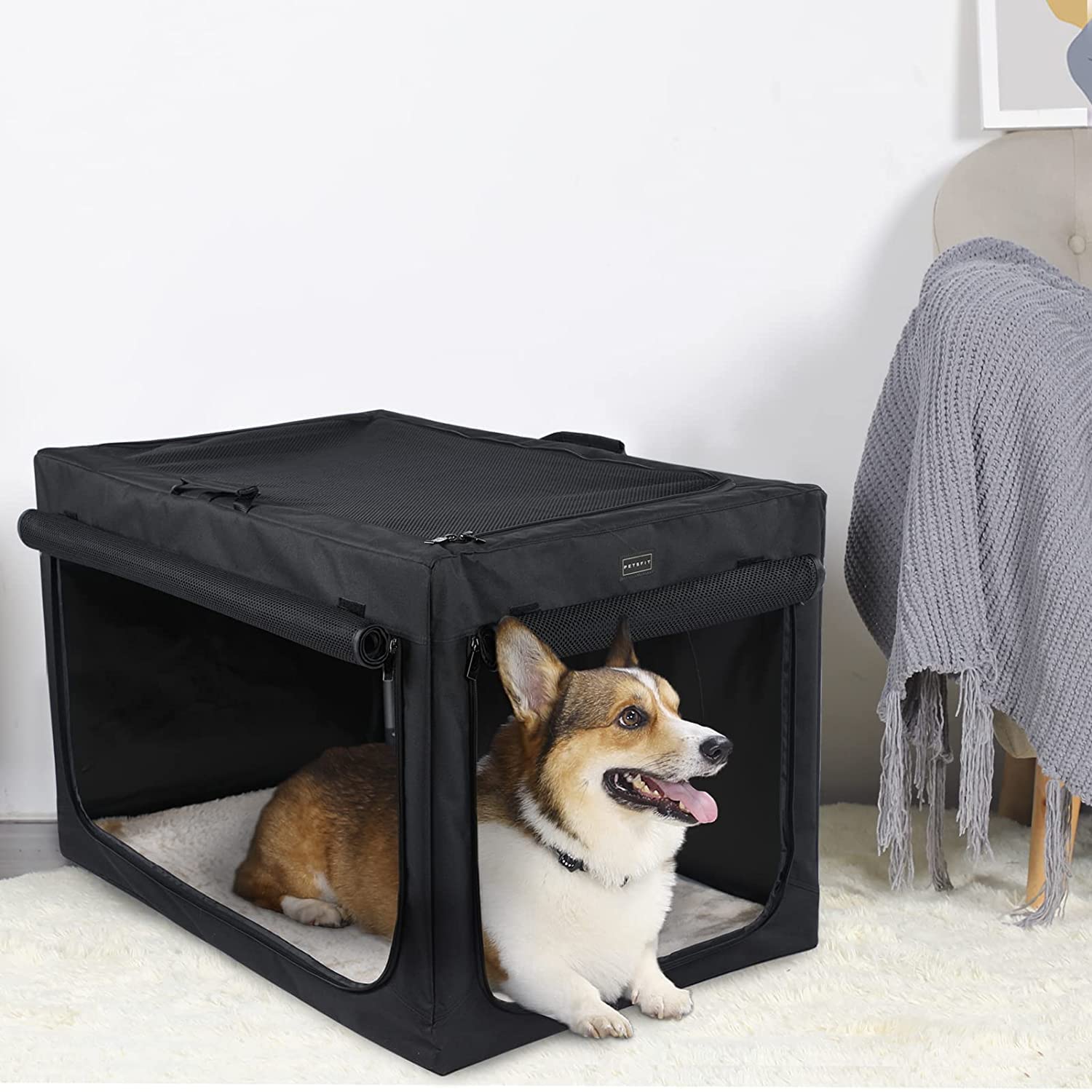 Buy Petsfit Dog Crate Large, Portable Dog Travel Crate with Sturdy